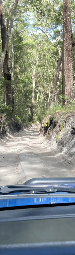 Abenteuer auf K'gari: Eine Lektion in Geduld